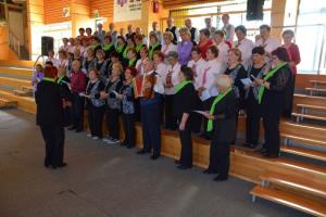 Srečanje upokojencev in drugih starejših iz občin Grosuplje, Ivančna Gorica in Dobrepolje 2017 24